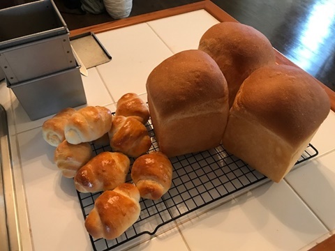 e0359604_19014204.jpeg