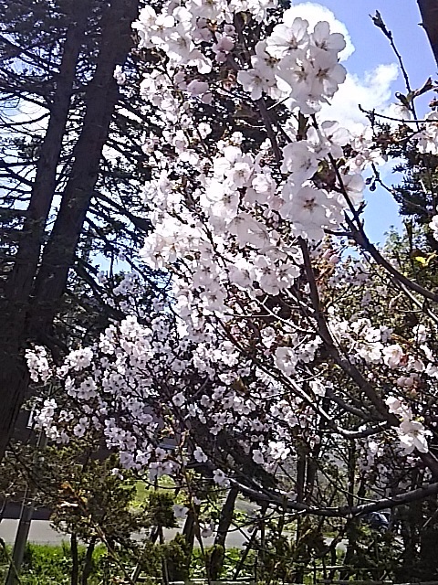 f0316507_18411804.jpg