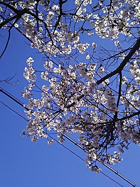 f0316507_18412983.jpg