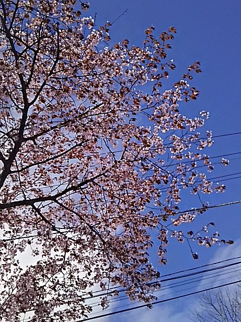 f0316507_18415116.jpg
