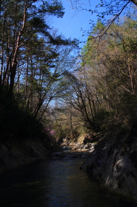 e0174008_18333053.jpg