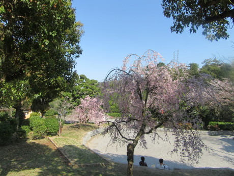 f0231709_20233886.jpg