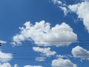 f0325309_11244783.jpg