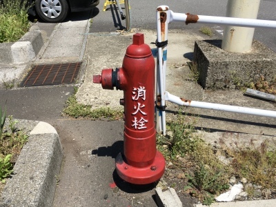 f0071412_22383902.jpeg