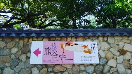 b0160614_19595827.jpg