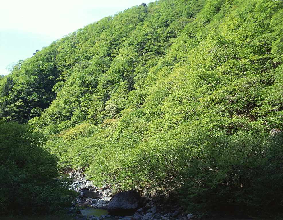 d0333714_17492480.jpg