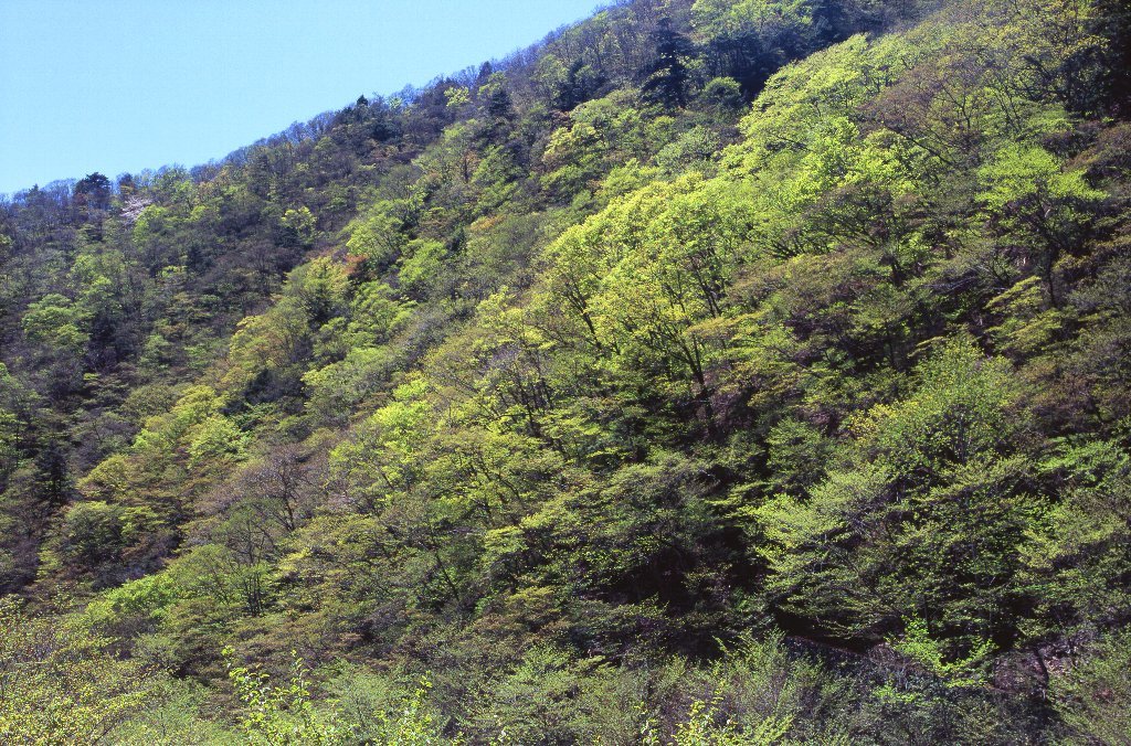 d0333714_17492974.jpg