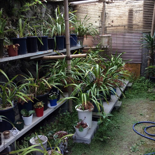 e0052716_9182195.jpg