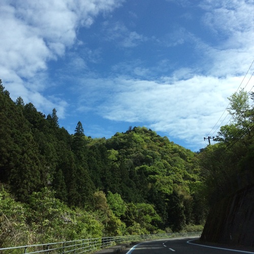 e0052716_920509.jpg