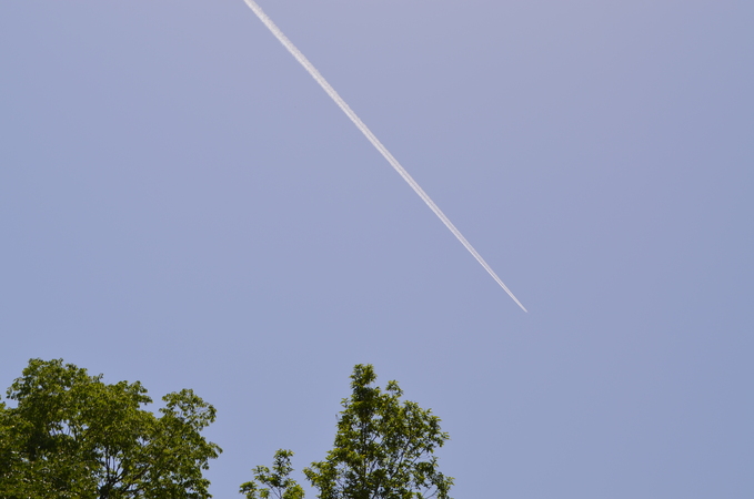 f0191517_178028.jpg