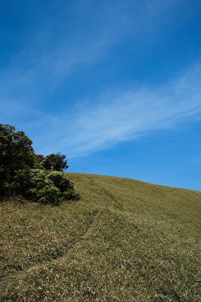 a0256923_1802494.jpg