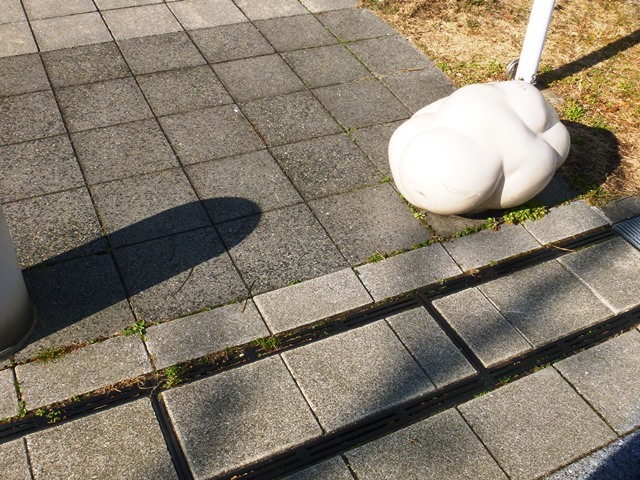 d0137326_10450527.jpg