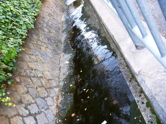 d0137326_10560869.jpg