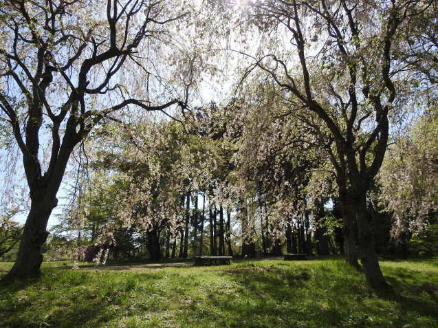 a0248728_16031548.jpg