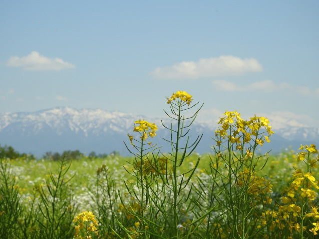 a0248728_18094333.jpg