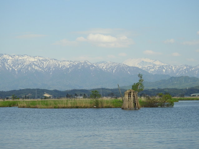 a0248728_18124668.jpg