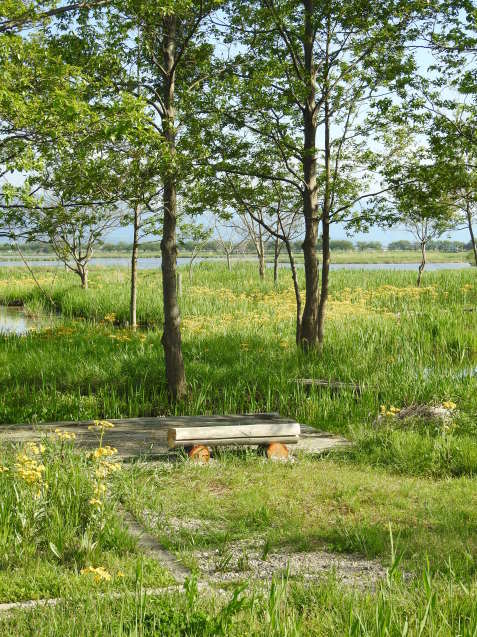 a0248728_18131695.jpg