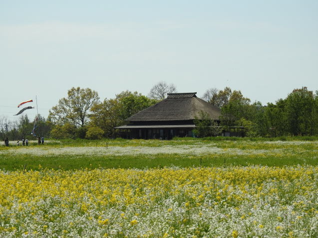 a0248728_18141766.jpg