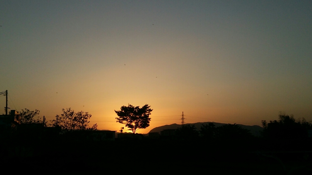 e0137130_23265263.jpg