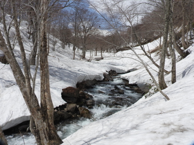 f0118332_00272514.jpg