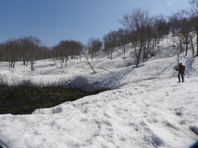 f0118332_00294912.jpg