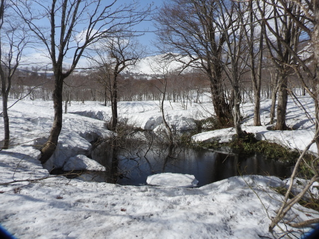 f0118332_00305481.jpg
