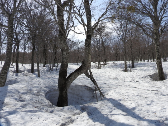 f0118332_00310918.jpg
