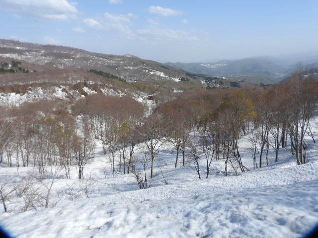 f0118332_00314345.jpg