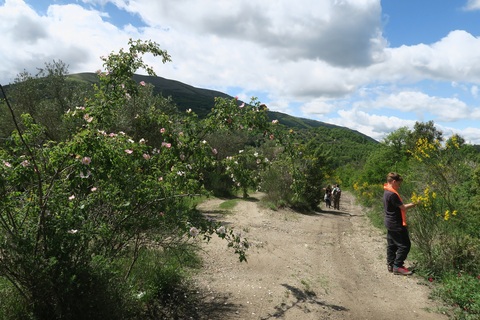 f0234936_7565896.jpg