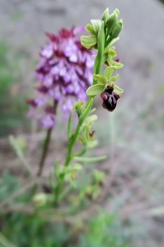 f0234936_7593818.jpg