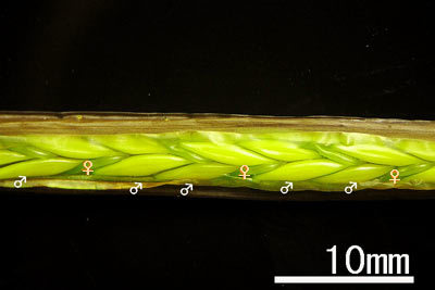 c0019338_08475946.jpg