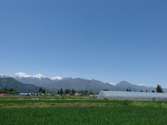 a0014840_23262891.jpg