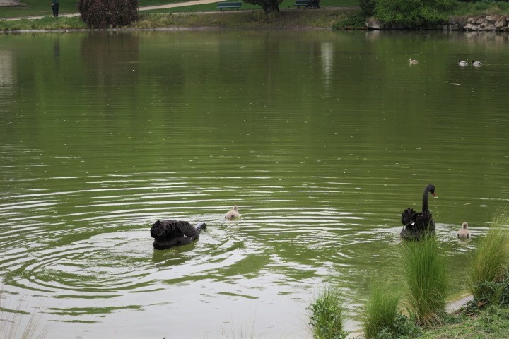 e0300042_03322842.jpg