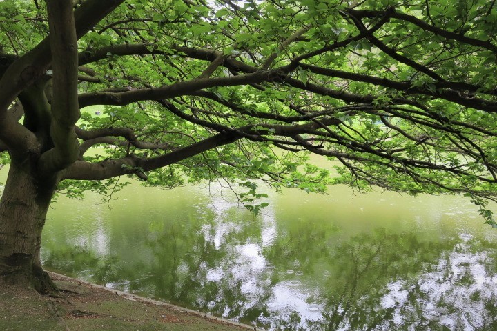 e0300042_03325431.jpg