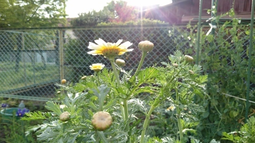f0326946_02073690.jpg