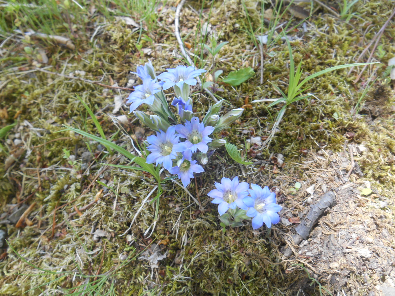 e0297347_22144377.jpg