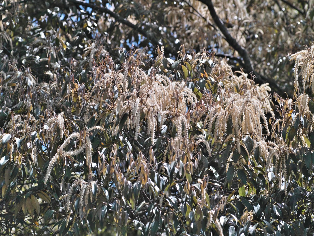 c0008948_13321627.jpg