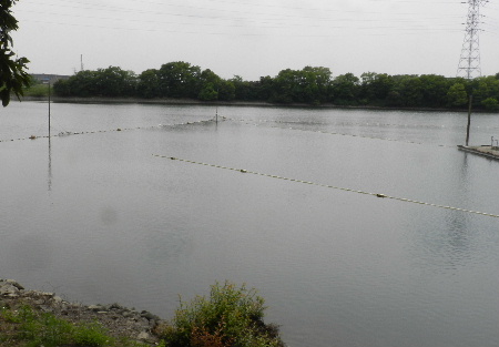 e0172950_21102669.jpg