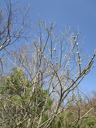 c0327752_14534784.jpg