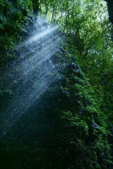 d0360256_21431175.jpg