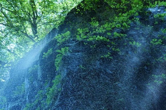 d0360256_21431233.jpg