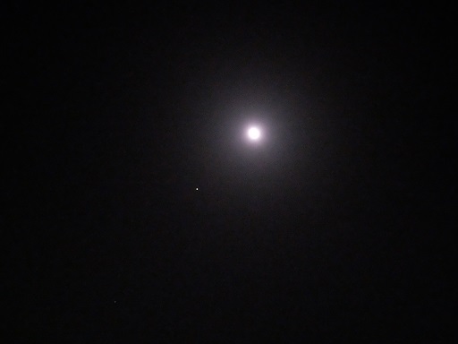 f0055956_82382.jpg