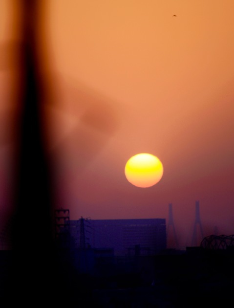 a0248459_15121231.jpg