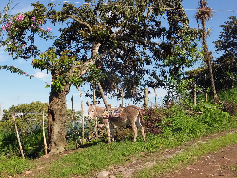 a0265160_23060306.jpg