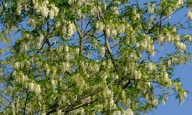 e0225164_07280190.jpg