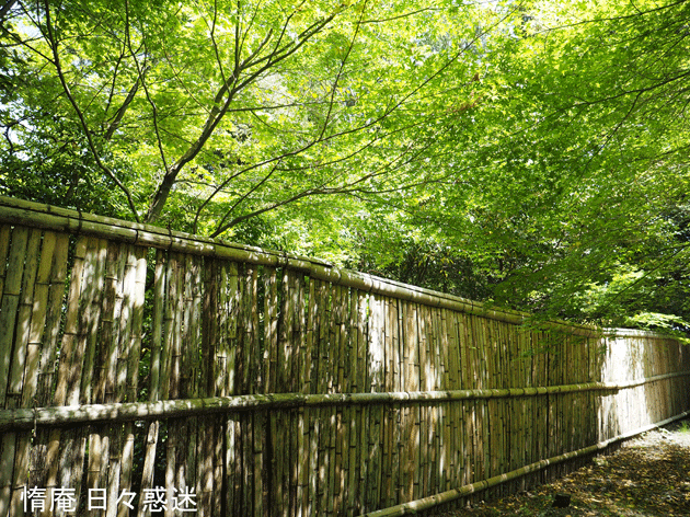 e0346064_16313049.gif