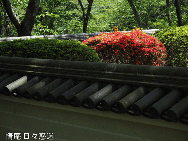 e0346064_16313191.gif