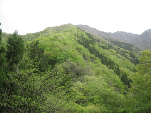c0219866_07374864.jpg