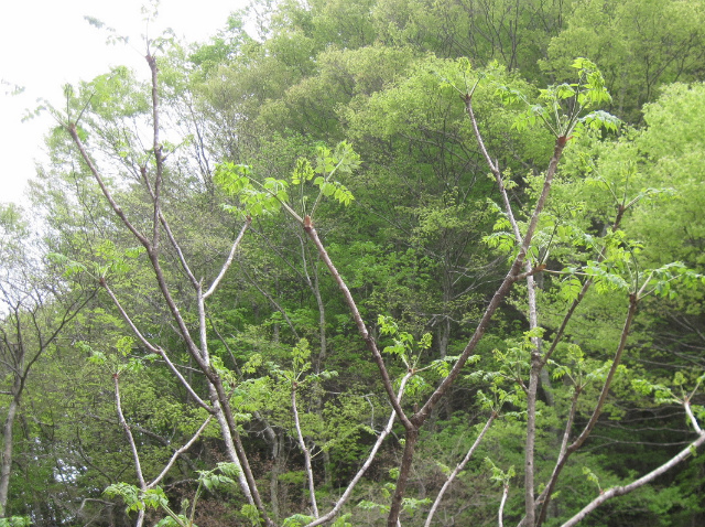 c0219866_07411450.jpg