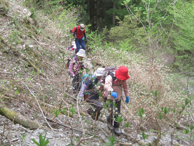 c0219866_07414630.jpg